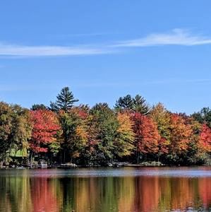 Meet your Posher, Krystal